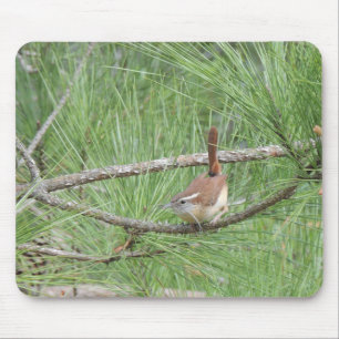 Mousepad Carolina Wren em Pine Tree