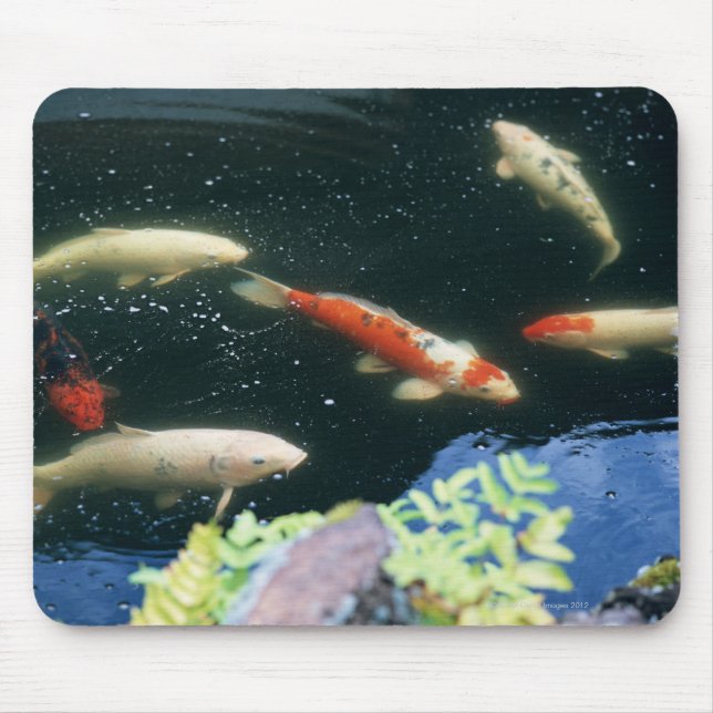 Mousepad Carpa (Frente)