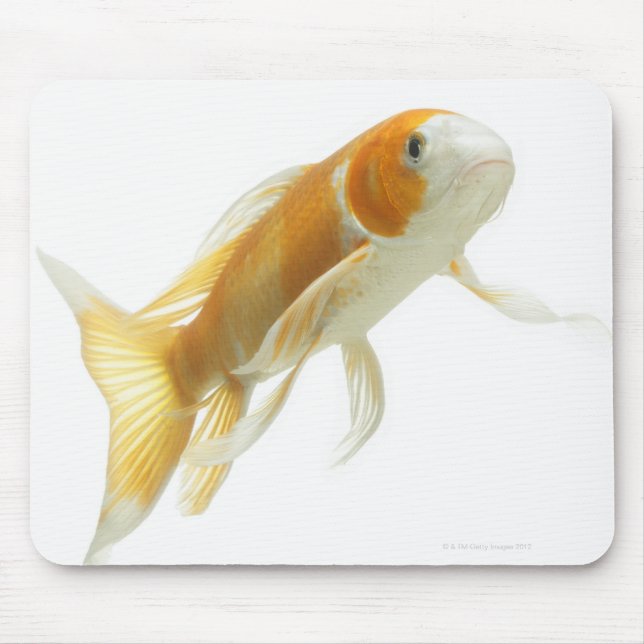 Mousepad Carpa (Cyprinus carpio) (Frente)