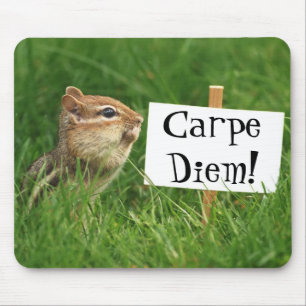 Mousepad Carpe Diem! Chipmunk com sinal
