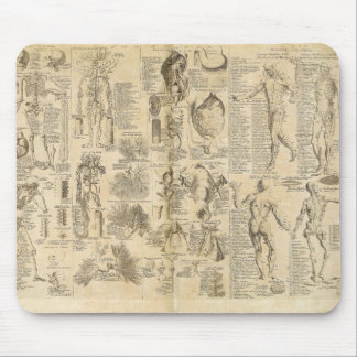 Mousepad Carta anatômica de Cyclopaedia 1728