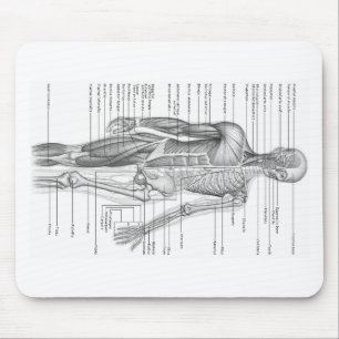 Mousepad Carta humana da anatomia