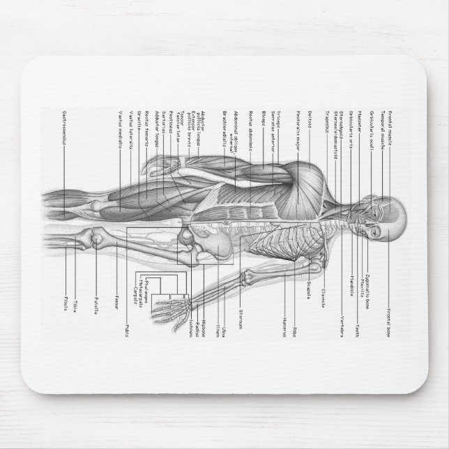 Mousepad Carta humana da anatomia (Frente)