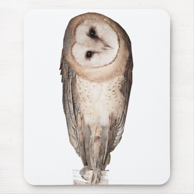 Mousepad Cartão curioso das corujas. (Frente)