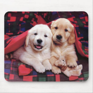Mousepad Cartões de fotografia de cães adoráveis, presen