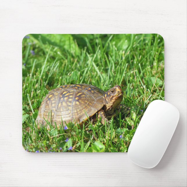 Mousepad Cartucho (Com mouse)