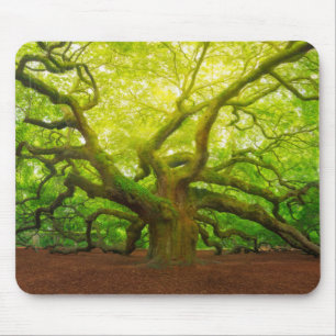 Mousepad Carvalho do anjo