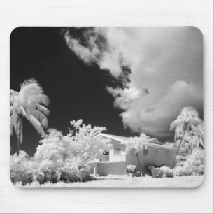 Mousepad Casa das Florida Keys e suas palmeiras, EUA.