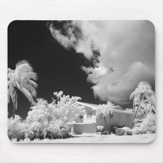 Mousepad Casa das Florida Keys e suas palmeiras, EUA. (Frente)