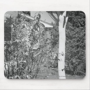 Mousepad Casa do pássaro no jardim