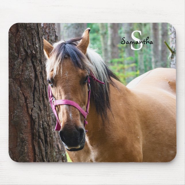 Mousepad Casaco de rato de cavalo (Frente)