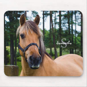 Mousepad Casaco de rato de cavalo