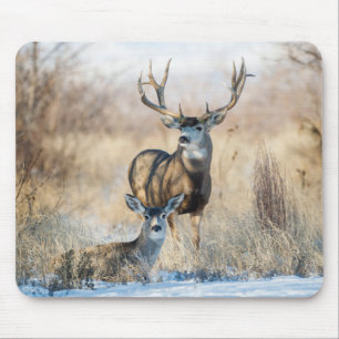 Mousepad Casal Buck   Mule Deer