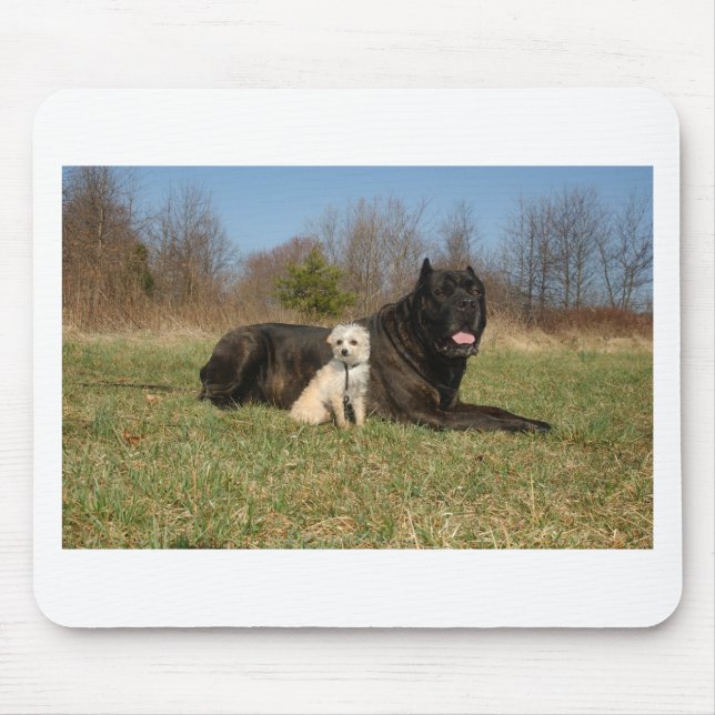Mousepad Casal Cachorro (Frente)
