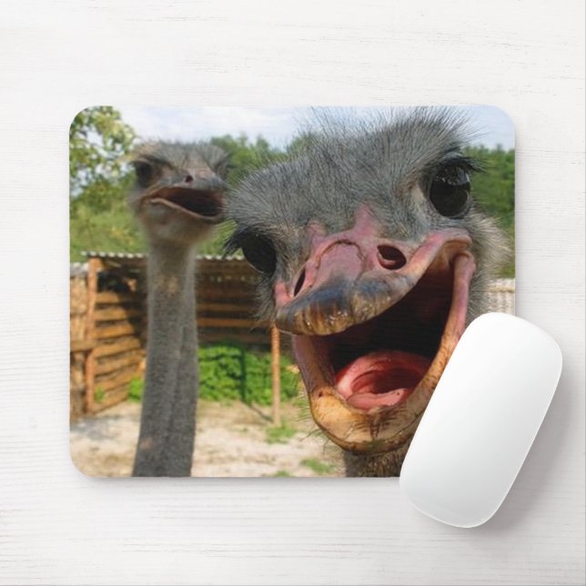 Mousepad Casal Funny Ostrich (Com mouse)