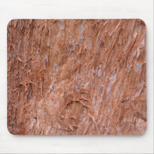 Mousepad casca de árvore na floresta
