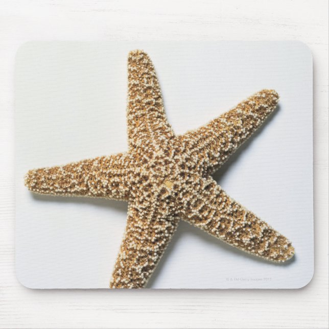 Mousepad Casca de Starfish sobre fundo branco (Frente)