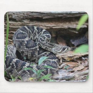 Mousepad Cascavel