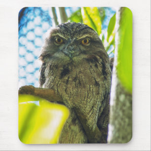 Mousepad Castanha não é uma coruja
