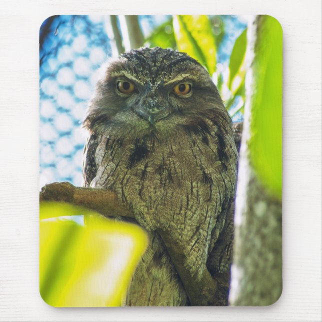 Mousepad Castanha não é uma coruja (Frente)