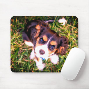 Mousepad Castanho-Cinto-Branco-Zangado