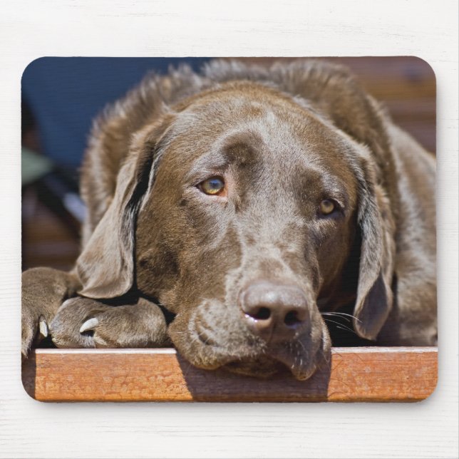 Mousepad Castanho-de-chocolate castanho-labrador-varejista  (Frente)