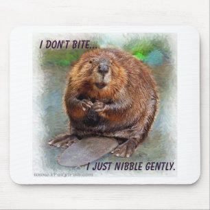 Mousepad Castor