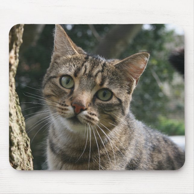 MOUSEPAD CAT (Frente)