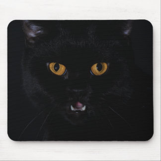 Mousepad Cat