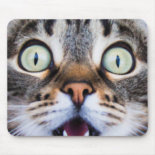 Mousepad Cat Art | Gatinho surpreendido | Cabeçote de Kitte (Frente)