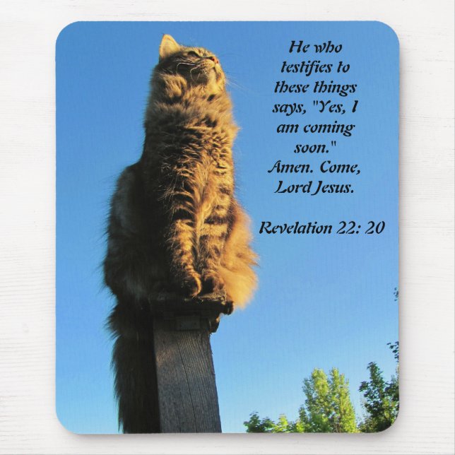 Mousepad Cat, esperando por Jesus (Frente)