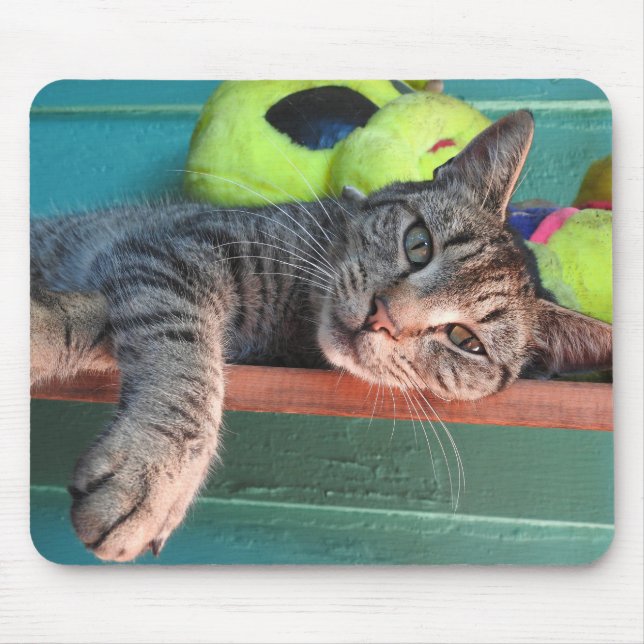 Mousepad Cat Love (Frente)