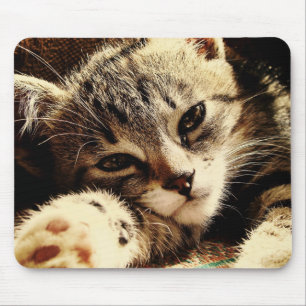 Mousepad Cat Lovers