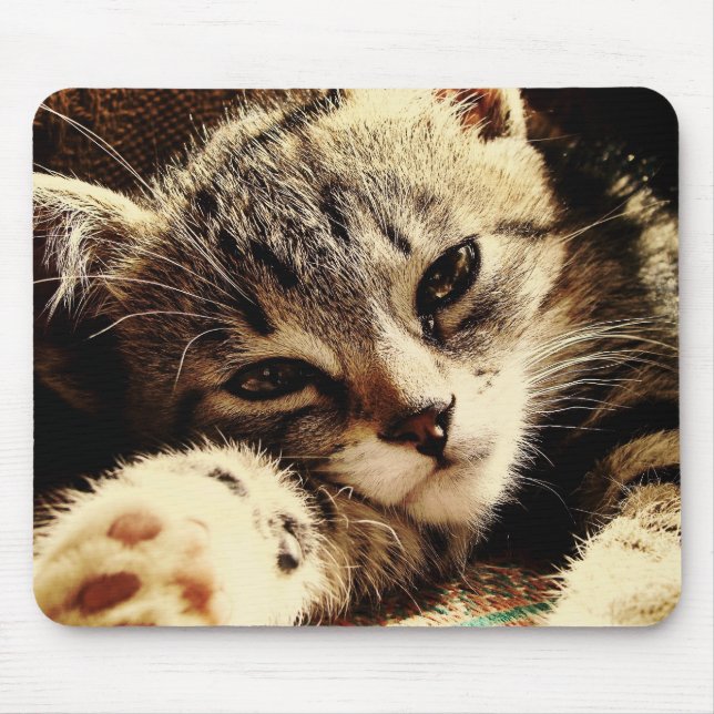 Mousepad Cat Lovers (Frente)