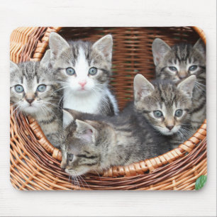 Mousepad Cat Lovers