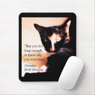Mousepad Cat Messenger