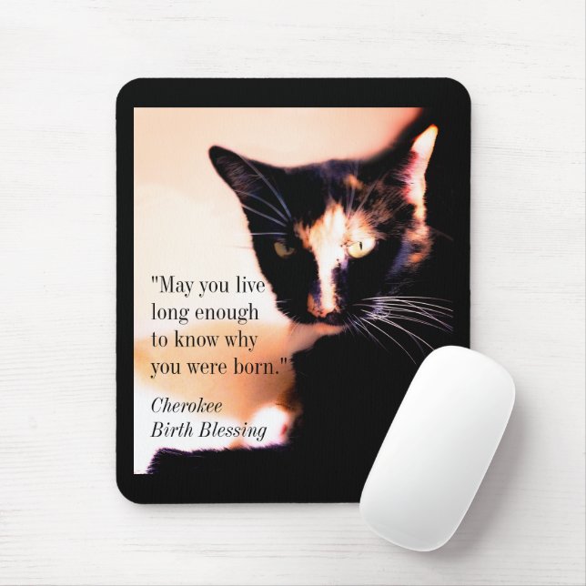 Mousepad Cat Messenger (Com mouse)