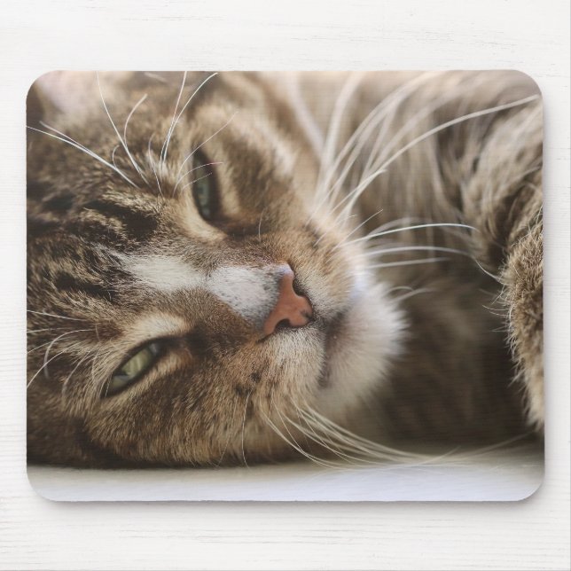 Mousepad Cat, O Pano, Olho de Gato (Frente)