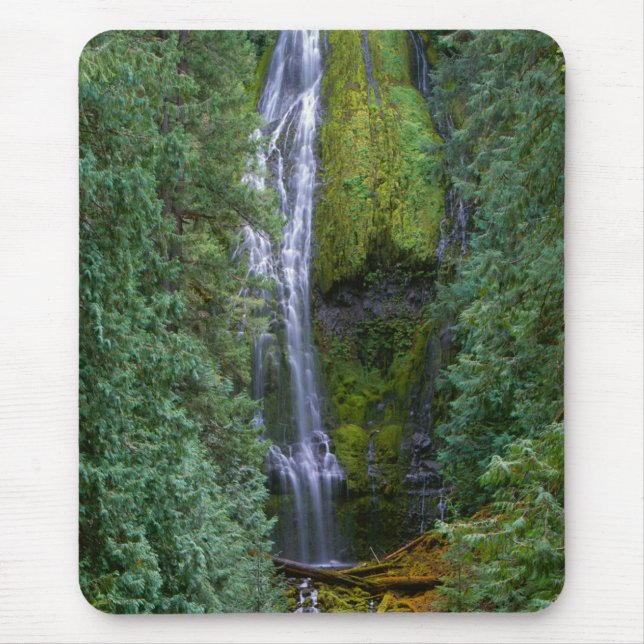 Mousepad Cataratas Lower Proxy | Floresta Nacional de Willa (Frente)