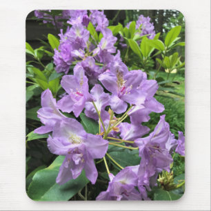 Mousepad Catawbiense Boursault Rhododendrons, Oregon