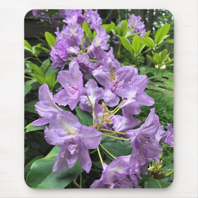 Mousepad Catawbiense Boursault Rhododendrons, Oregon (Frente)