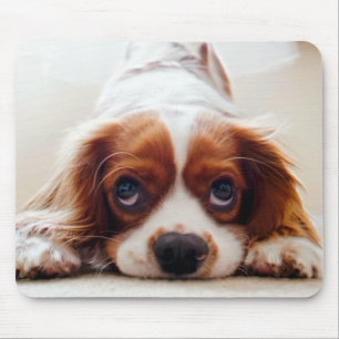 Mousepad Cavaleiro Rei Charles Spaniel