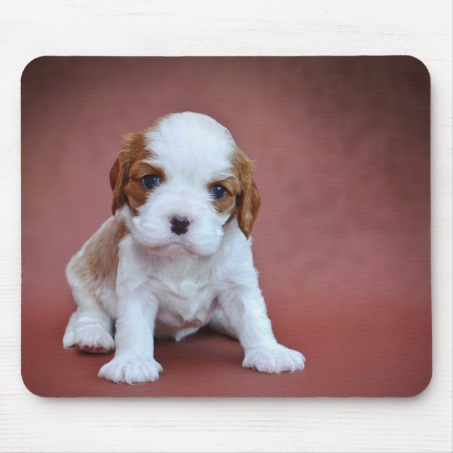 Mousepad Cavalier King Charles Spaniel (Frente)
