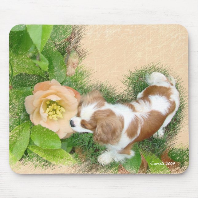 Mousepad Cavalier King Charles Spaniel (Frente)