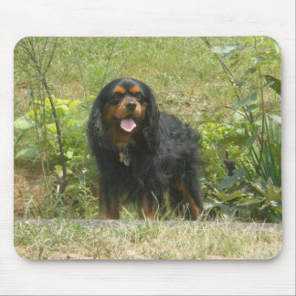 Mousepad Cavalier rei Charles spaniel