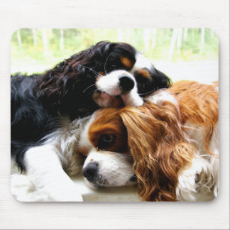 Mousepad Cavaliers dos irmãos