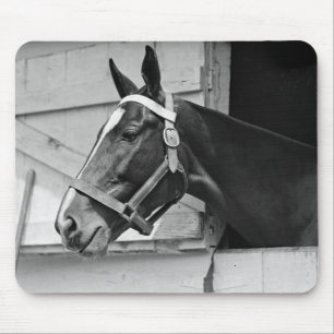 Mousepad Cavalo