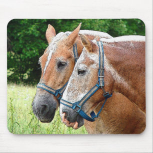 Mousepad Cavalo