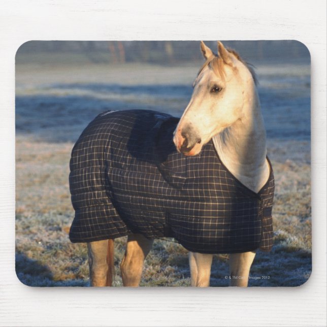 Mousepad cavalo (Frente)