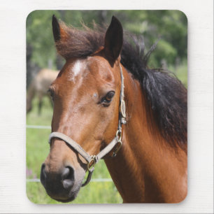 Mousepad Cavalo